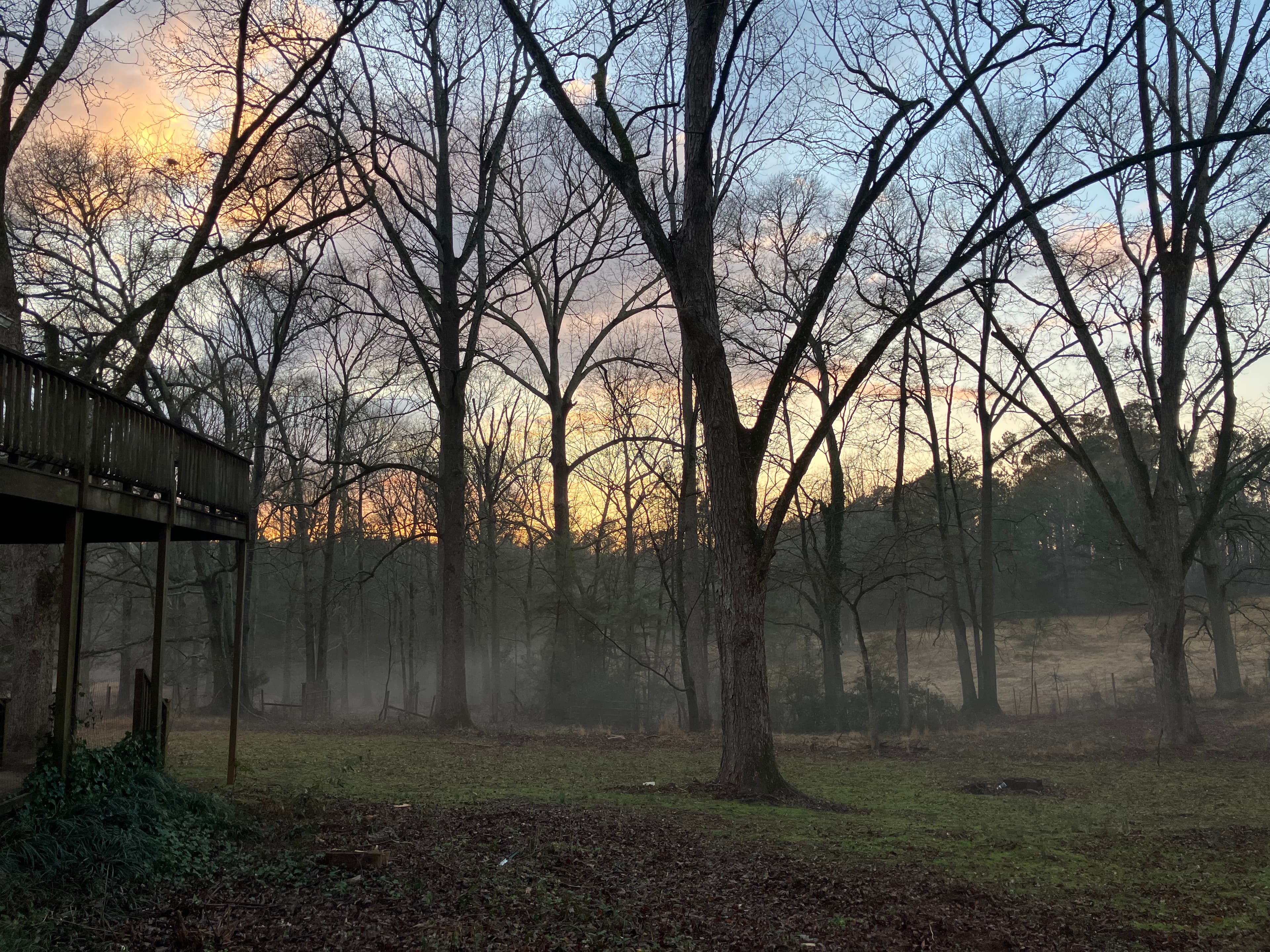 Misty sunrise at Lone Goose Farm